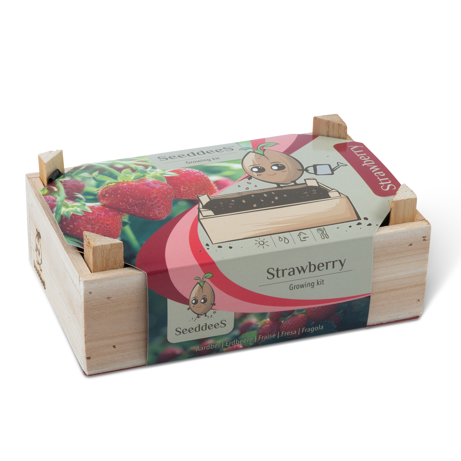 SeeddeeS kweekset houten kist - Aardbei